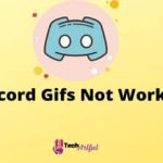 discord-gifs-not-working-s