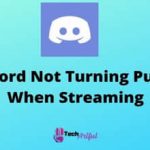 discord-not-turning-purple-when-streaming-s