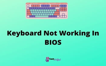 [SOLVED] Keyboard Not Working In BIOS