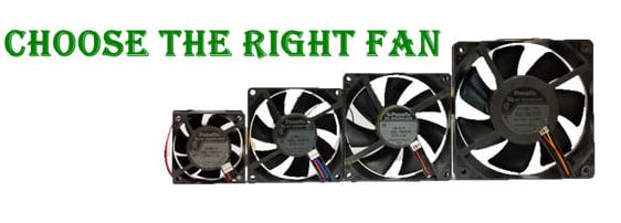 choose-the-right-fan