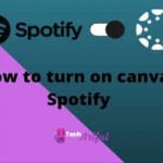 how-to-turn-on-canvas-spotify-s