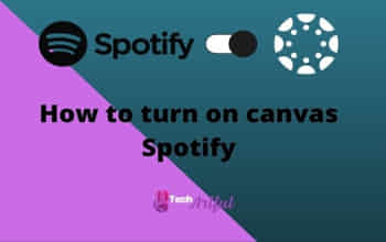 how-to-turn-on-canvas-spotify-s
