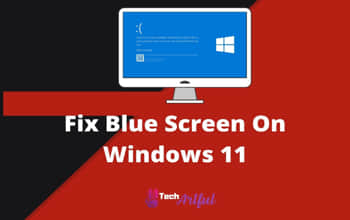 [SOLVED] Blue Screen of Death On Windows 11