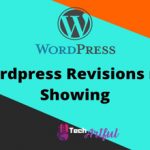 wordpress-revisions-not-showing-s